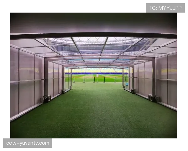 球迷起诉场馆管理方，称座位设计导致其未能避开高速飞出边线的球